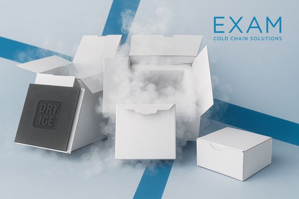 Image of Exam's Monobloc Boxes structure